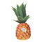 pineapple shaker
